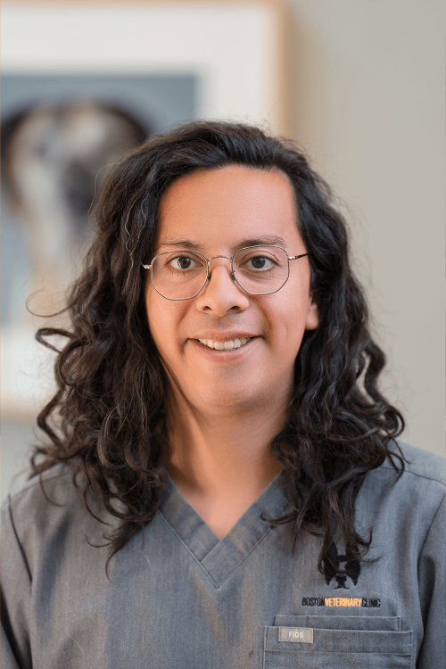 Luis Roldan Soberanes