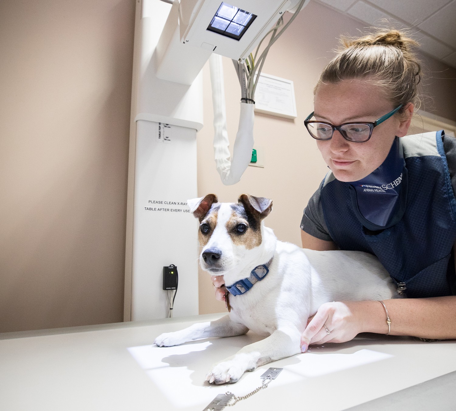 Urgent Care Vet in Boston