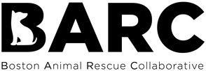 Boston Animal Rescue Collaborative | BARC