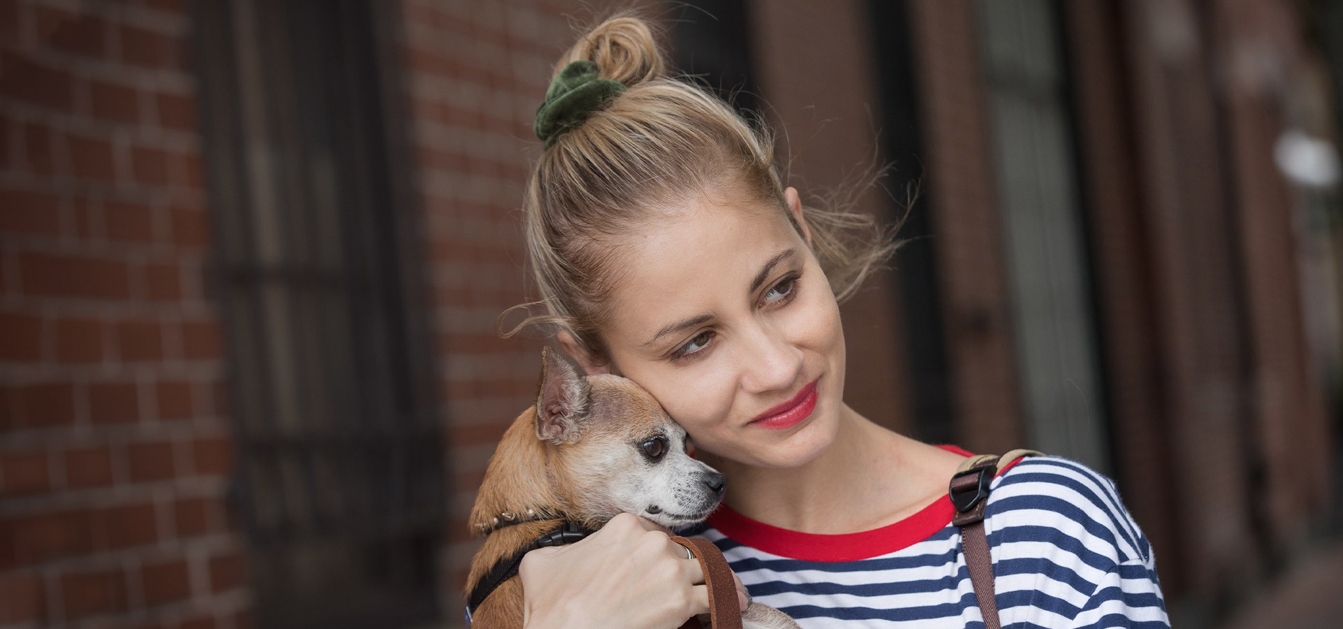 Wellness &amp; Preventative Care Boston Veterinary Clinic