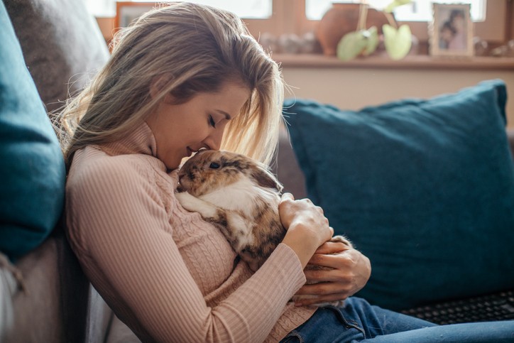 Rabbit Care in Boston, MA