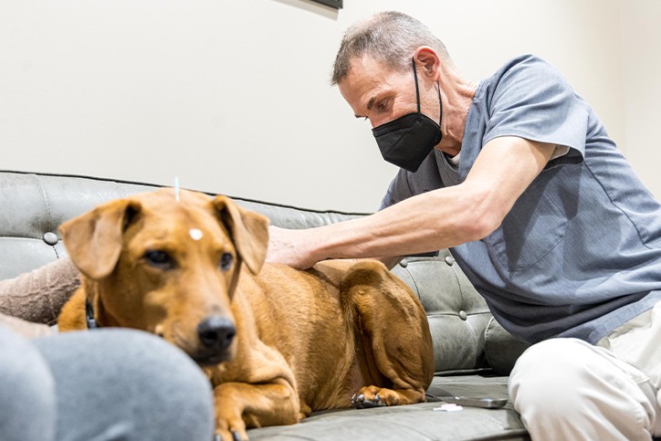 Dr. Mike gives acupuncture treatment