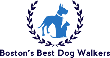Boston's Best Dog Walkers