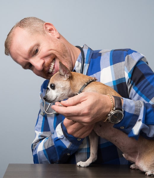 Veterinarian in Charlestown, Boston, MA