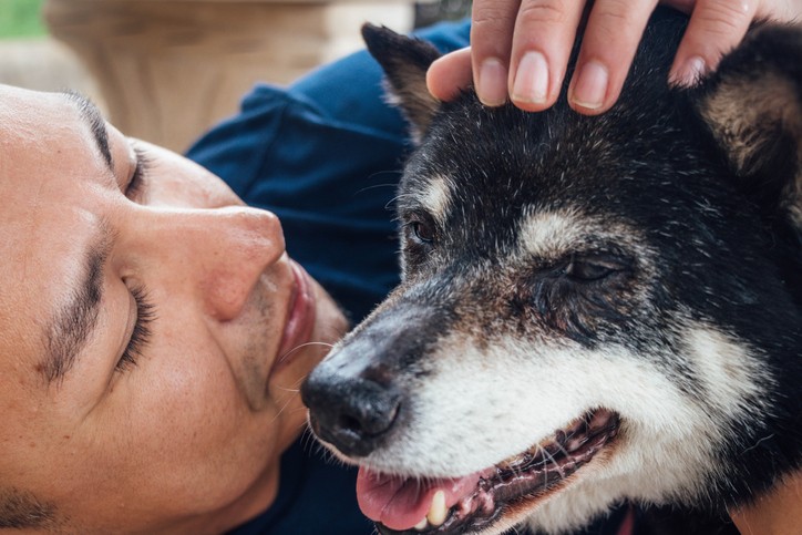 how do you know if your puppy has a fever