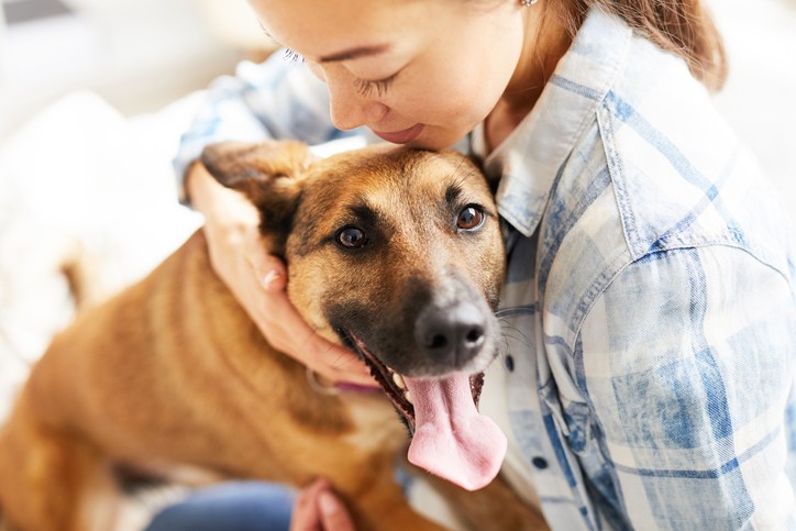 5 Reasons to Protect Your Dog from Lyme Disease