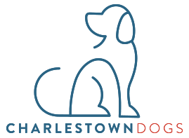 Charlestown Dogs